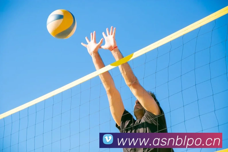 星空体育首页官网APP 封面图